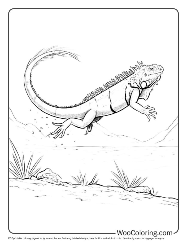 100 Iguana coloring pages Free PDF To Print - 77