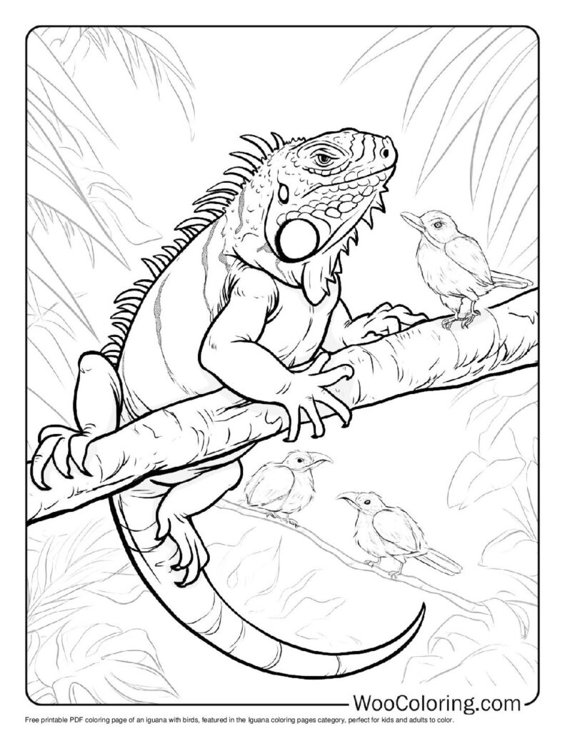 100 Iguana coloring pages Free PDF To Print - 25