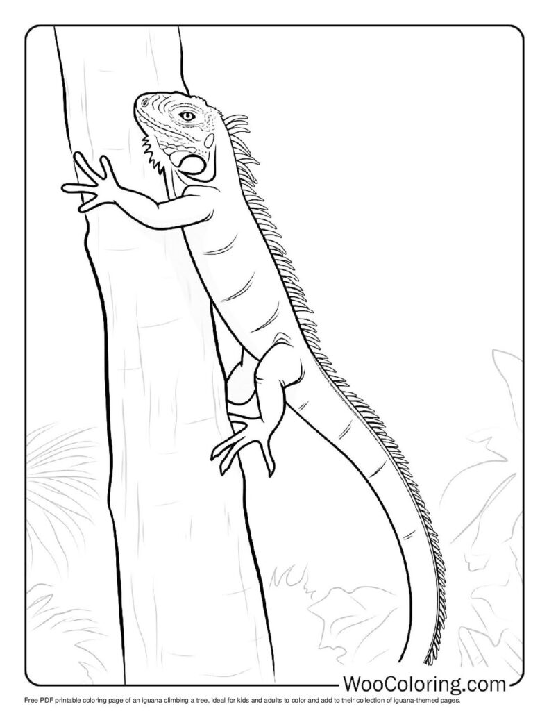 100 Iguana coloring pages Free PDF To Print - 87
