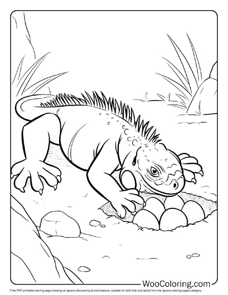100 Iguana coloring pages Free PDF To Print - 93