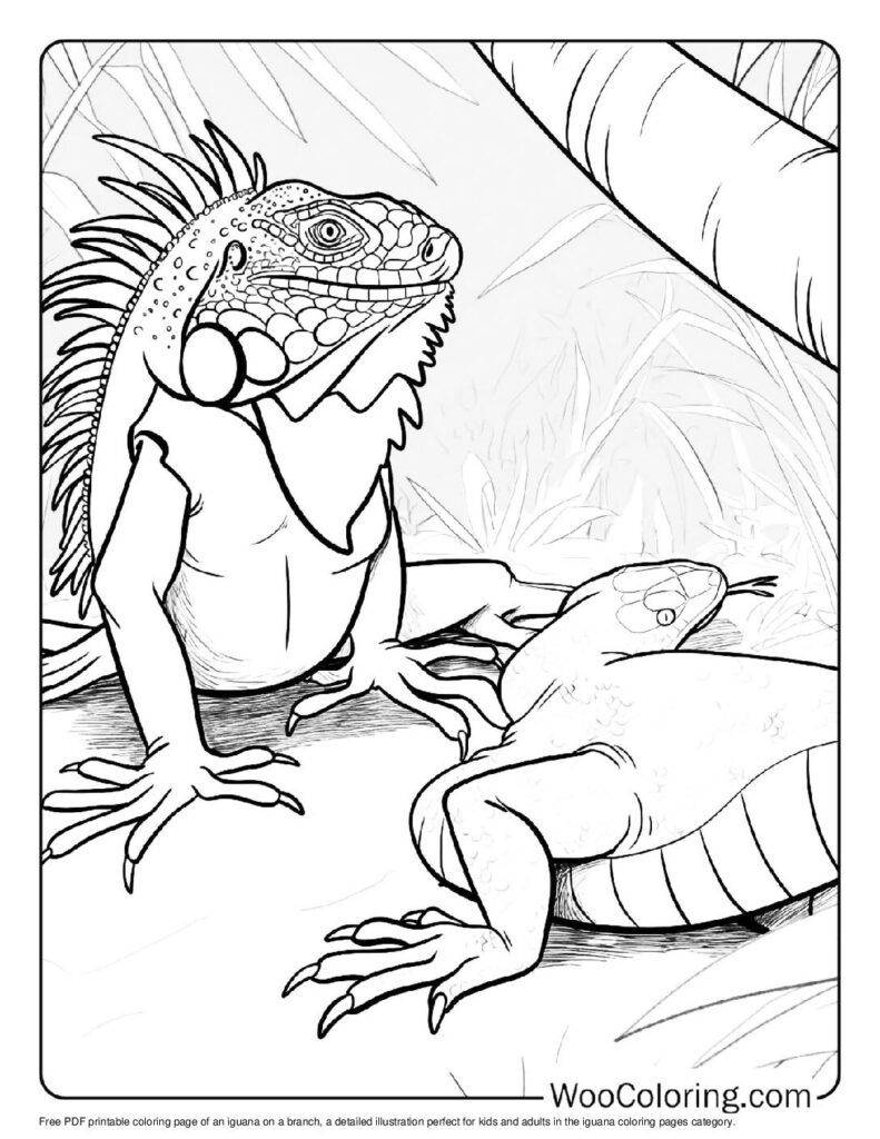 100 Iguana coloring pages Free PDF To Print - 47