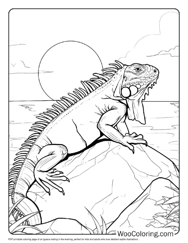 100 Iguana coloring pages Free PDF To Print - 55