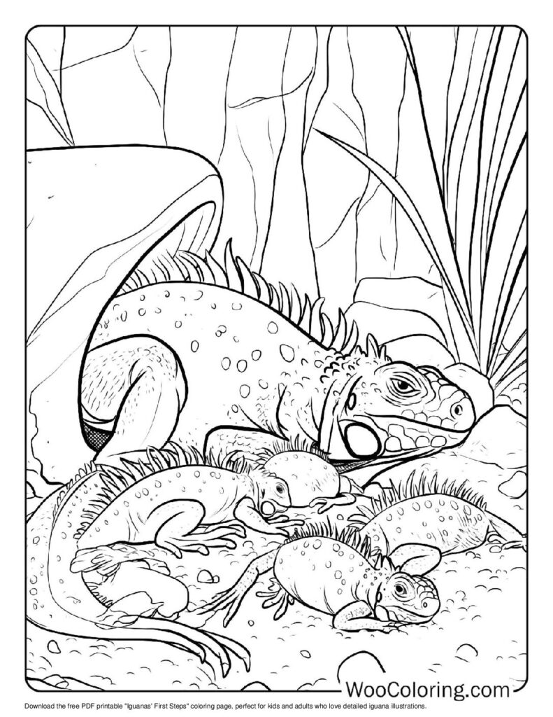 100 Iguana coloring pages Free PDF To Print - 24
