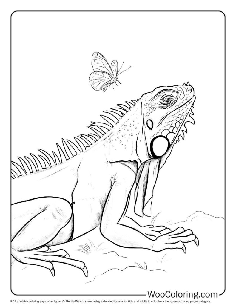 100 Iguana coloring pages Free PDF To Print - 9