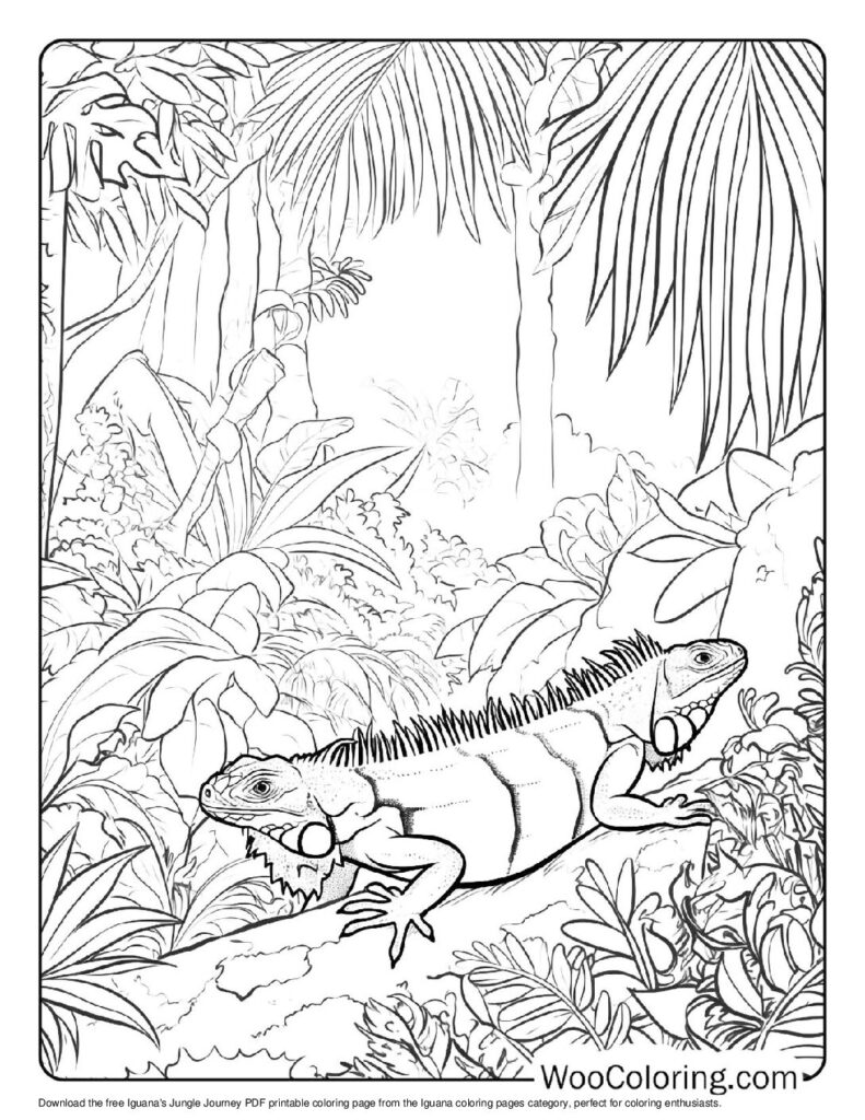 100 Iguana coloring pages Free PDF To Print - 34