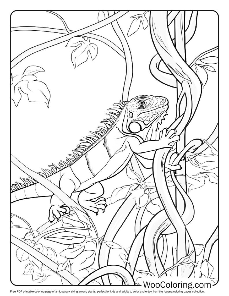 100 Iguana coloring pages Free PDF To Print - 46