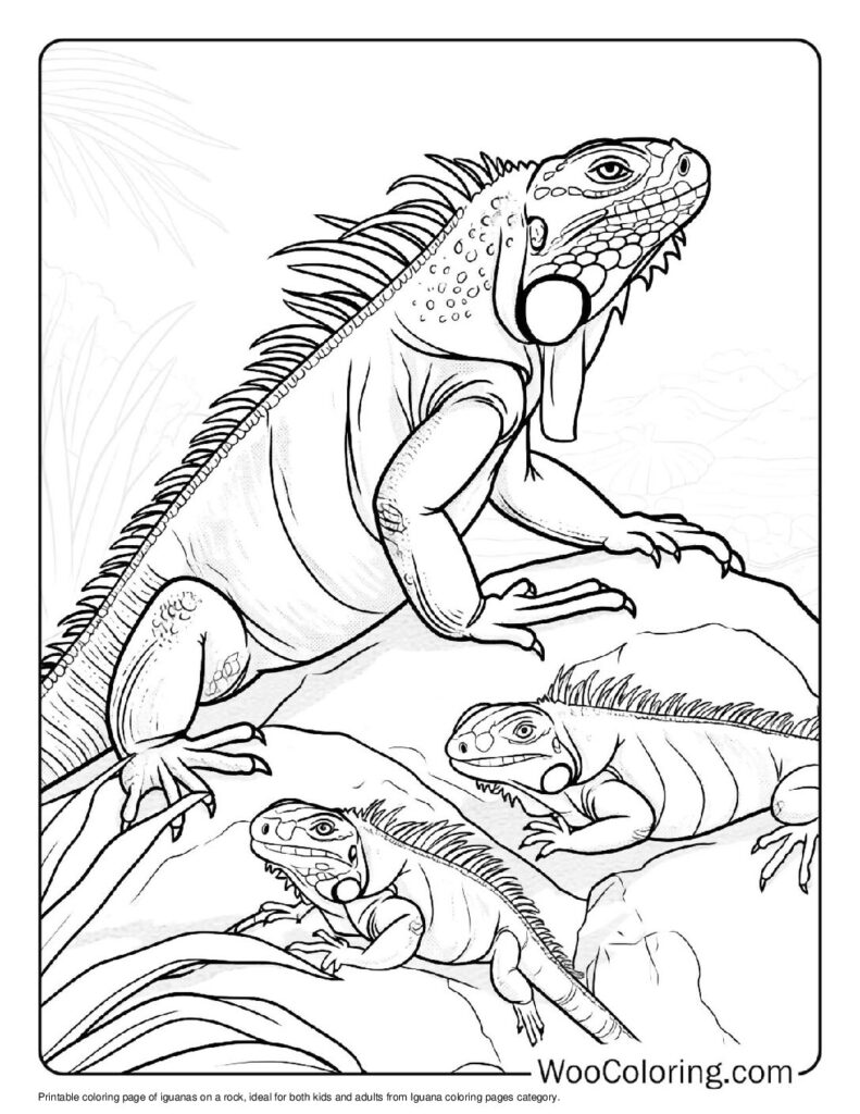 100 Iguana coloring pages Free PDF To Print - 36