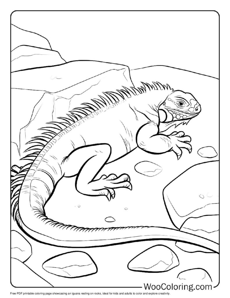 100 Iguana coloring pages Free PDF To Print - 31