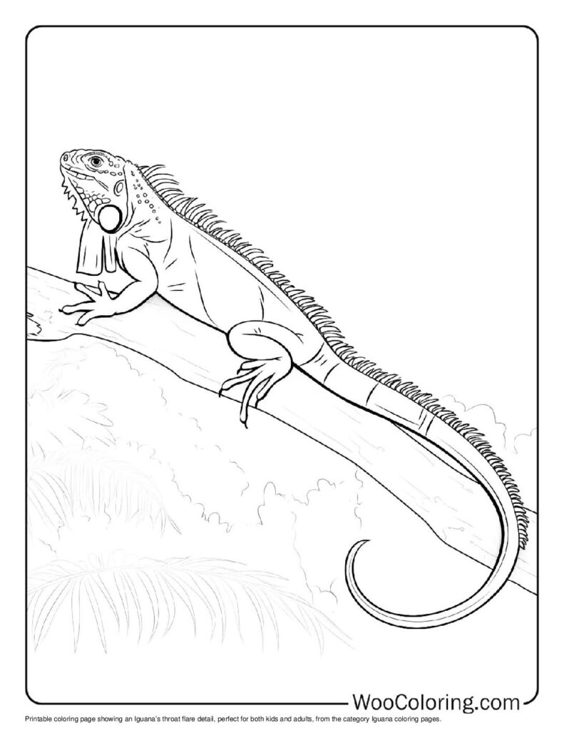 100 Iguana coloring pages Free PDF To Print - 43