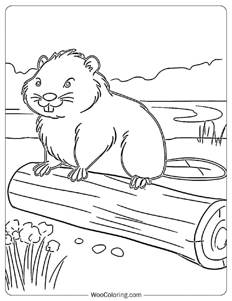 Innocent Beaver