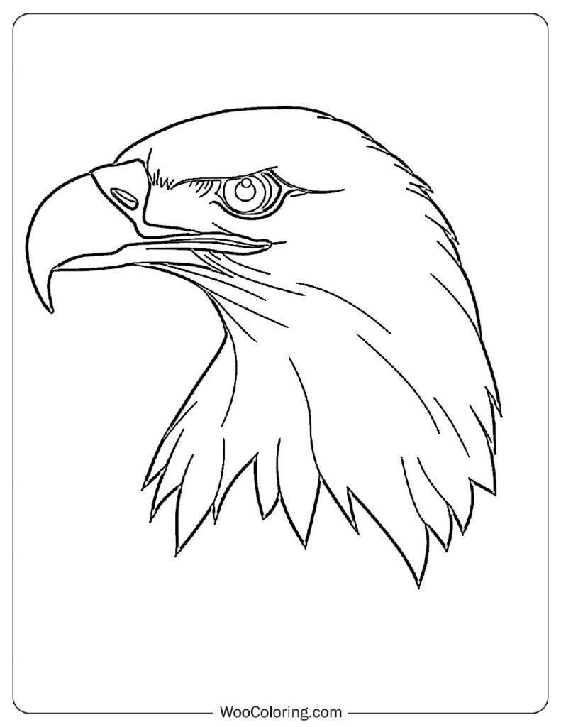 100  Bald Eagle coloring pages  Free PDF To Print  - 76