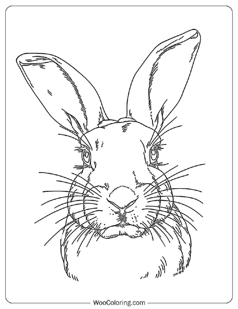 Intricate Rabbit Features