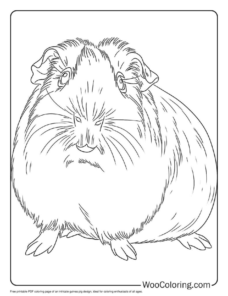 100 Guinea Pig coloring pages Free PDF To Print - 32