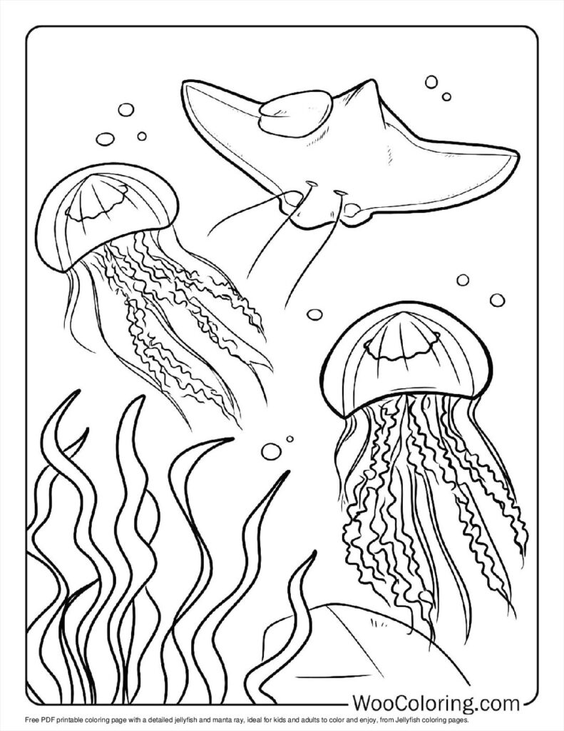 100  Jellyfish coloring pages  Free PDF To Print  - 70