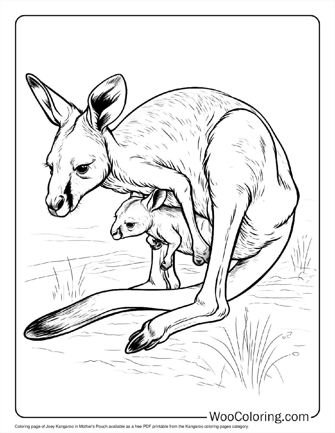 100+ Kangaroo coloring pages (Free PDF To Print) | Woo Coloring