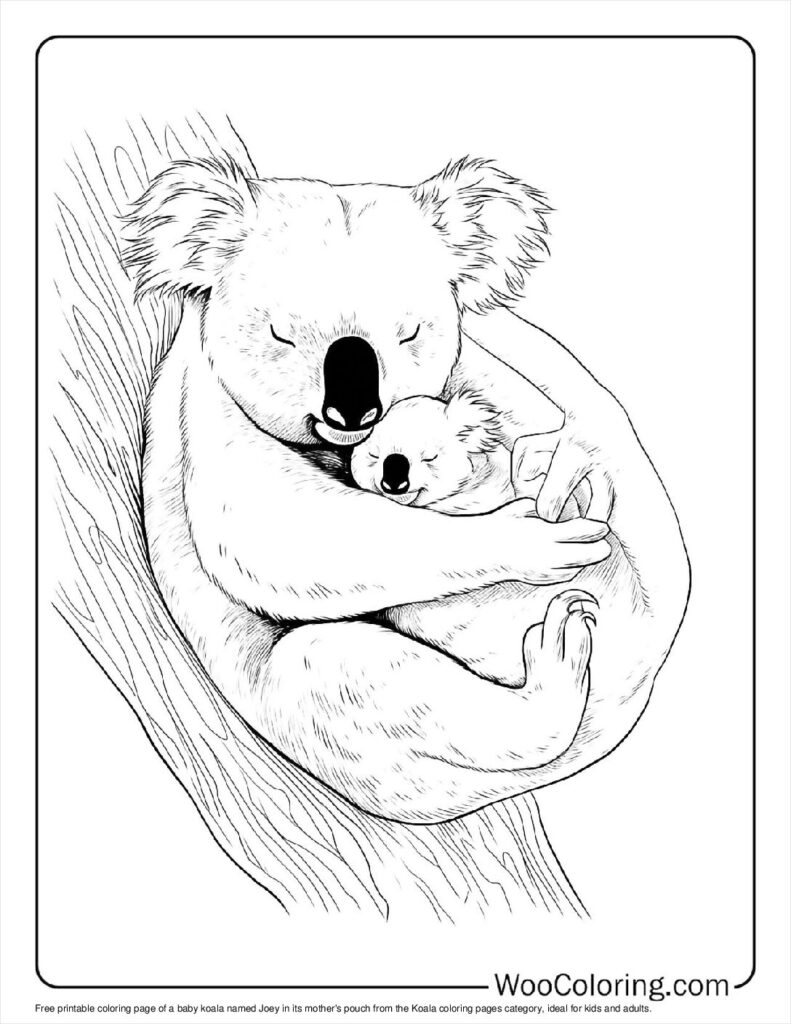 100  Koala coloring pages  Free PDF To Print  - 95
