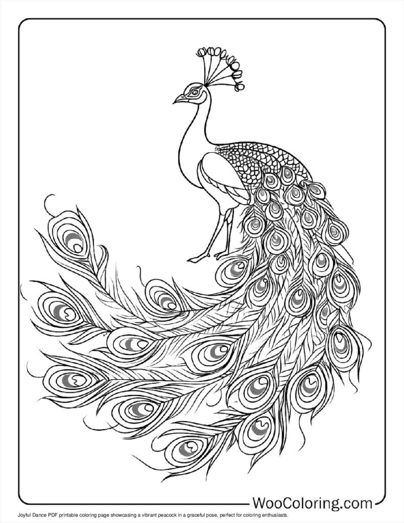 100  Peacock coloring pages  Free PDF To Print  - 46
