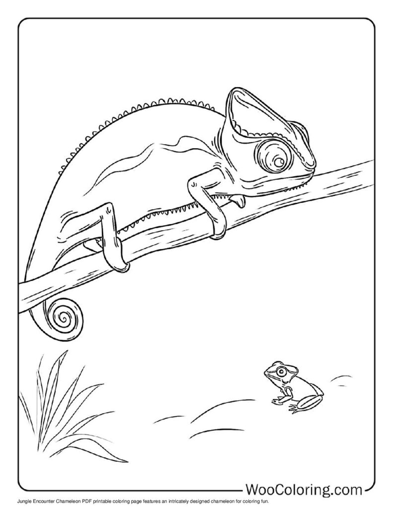 100  Chameleon coloring pages  Free PDF To Print  - 40
