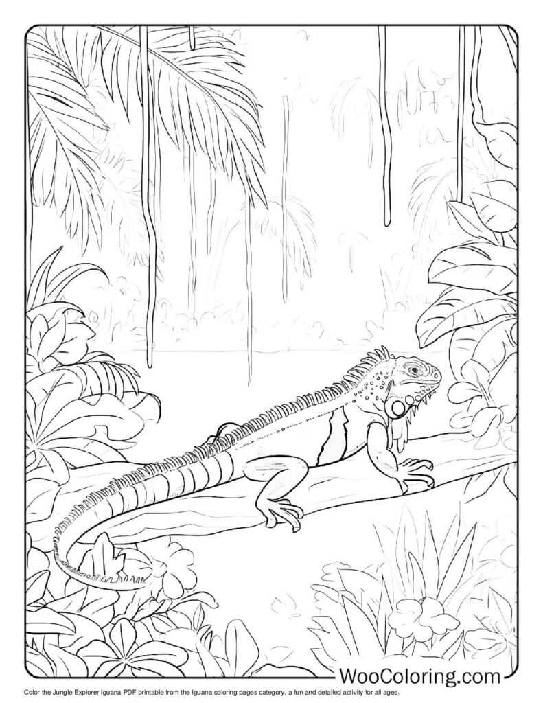 100 Iguana coloring pages Free PDF To Print - 42