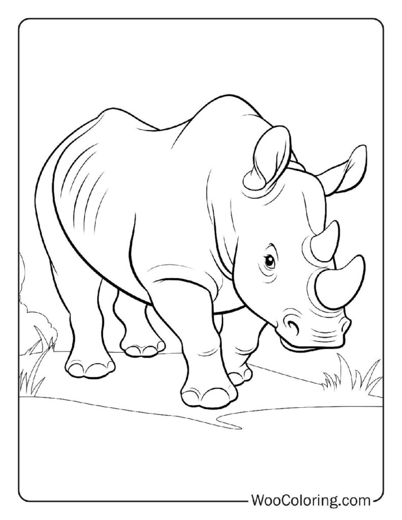 100  Jungle coloring pages  Free PDF To Print  - 31