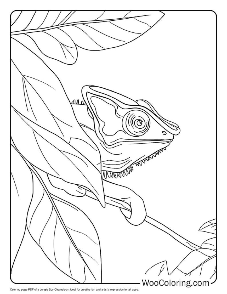 100  Chameleon coloring pages  Free PDF To Print  - 82