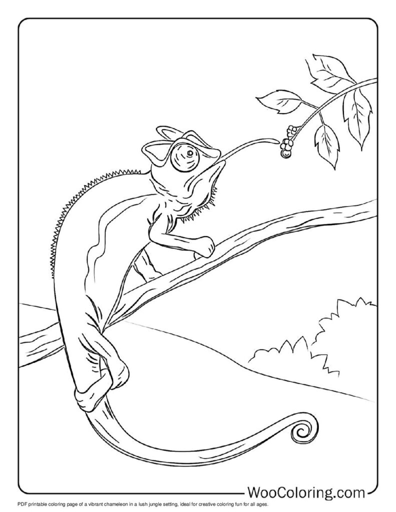 100  Chameleon coloring pages  Free PDF To Print  - 17