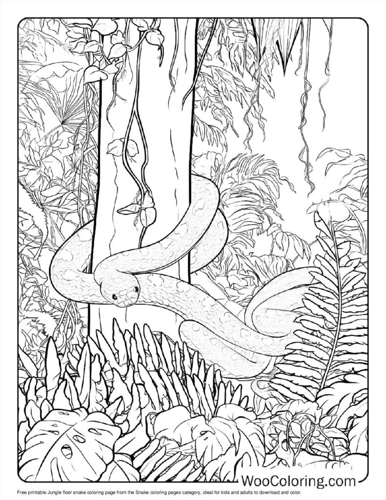 Jungle floor snake Coloring Page For Kids