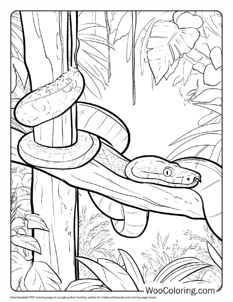 Jungle python hunting