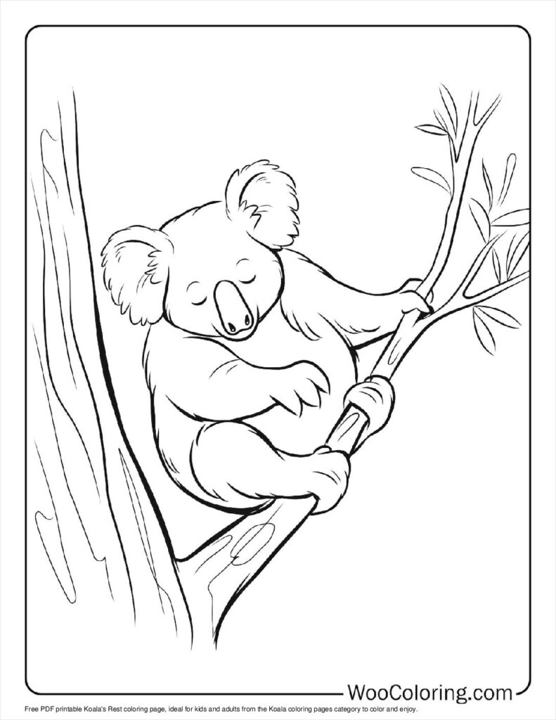 100  Koala coloring pages  Free PDF To Print  - 57