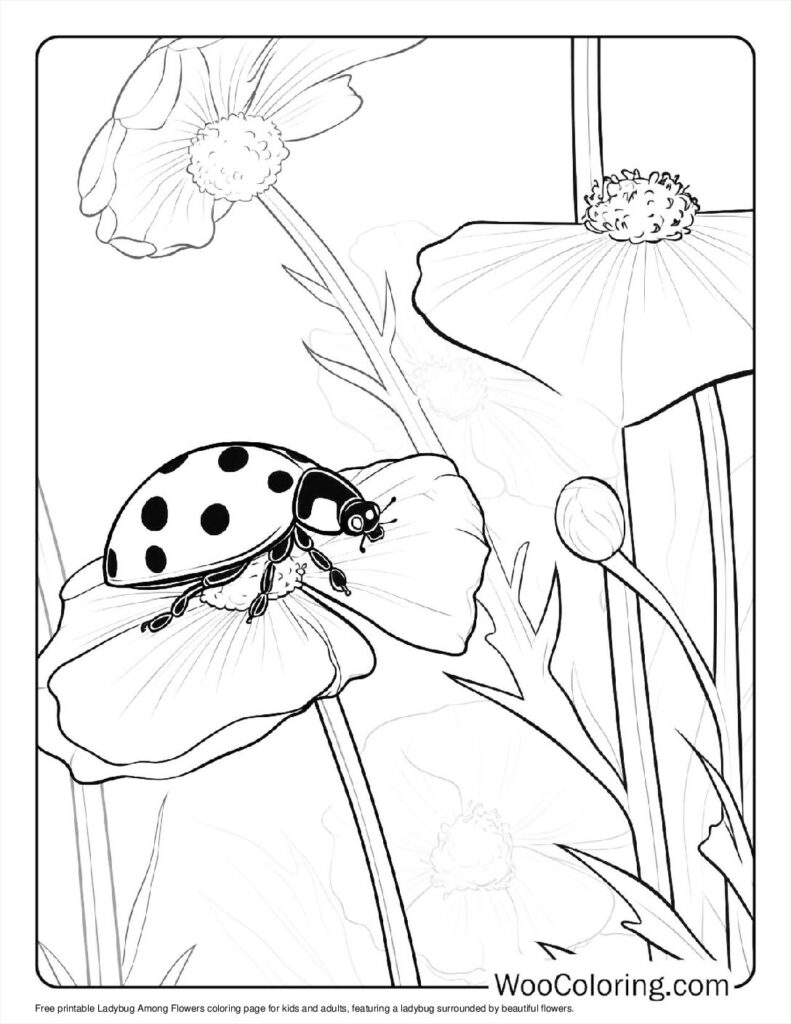 100  Ladybug coloring pages  Free PDF To Print  - 72