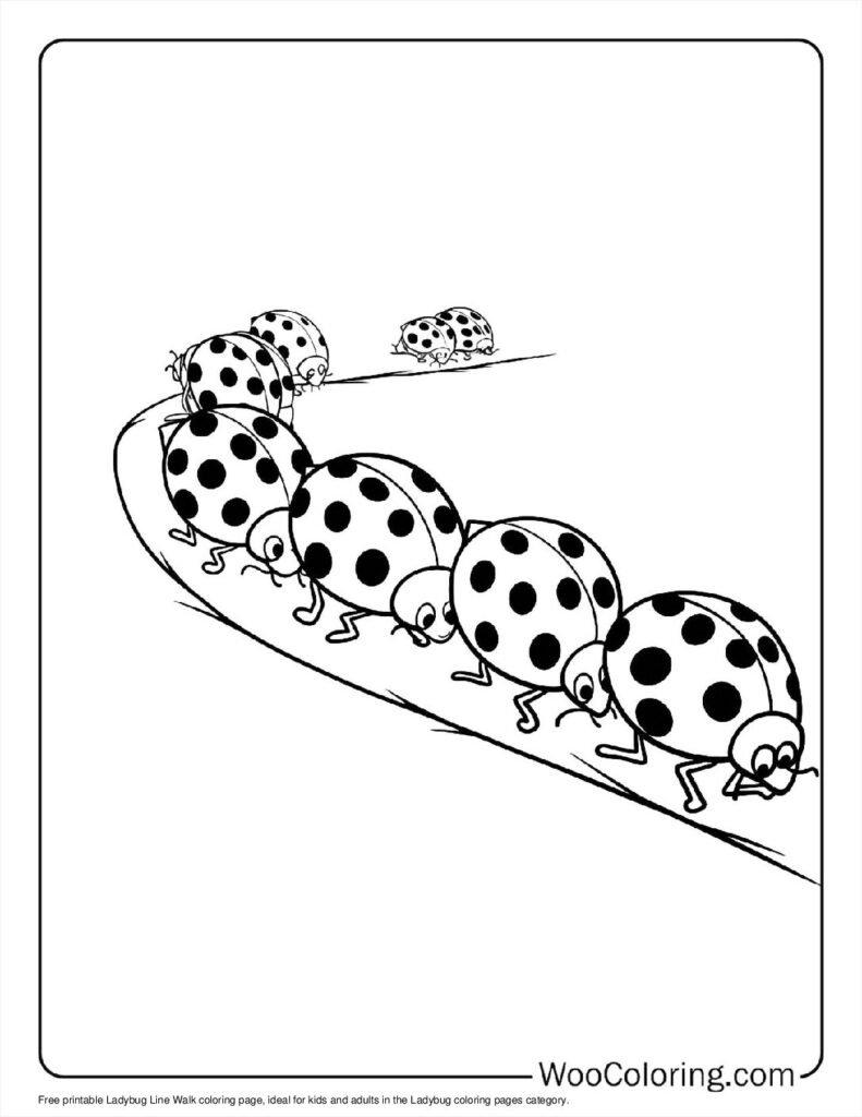 100  Ladybug coloring pages  Free PDF To Print  - 45