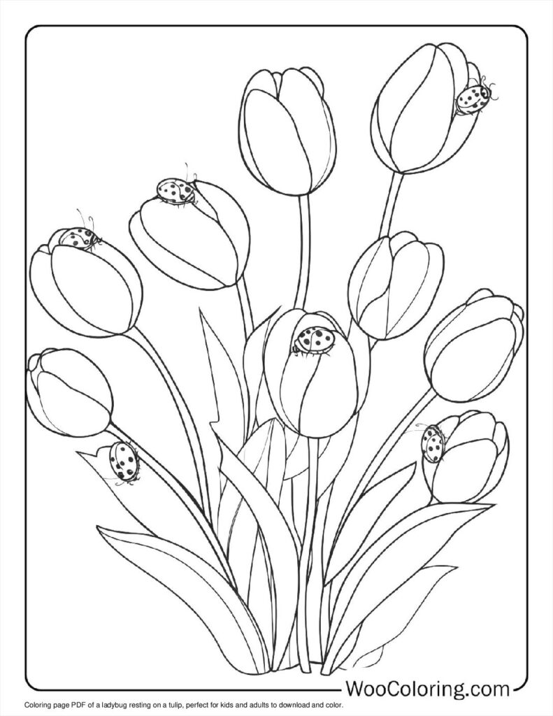 100  Tulip coloring pages  Free PDF To Print  - 89