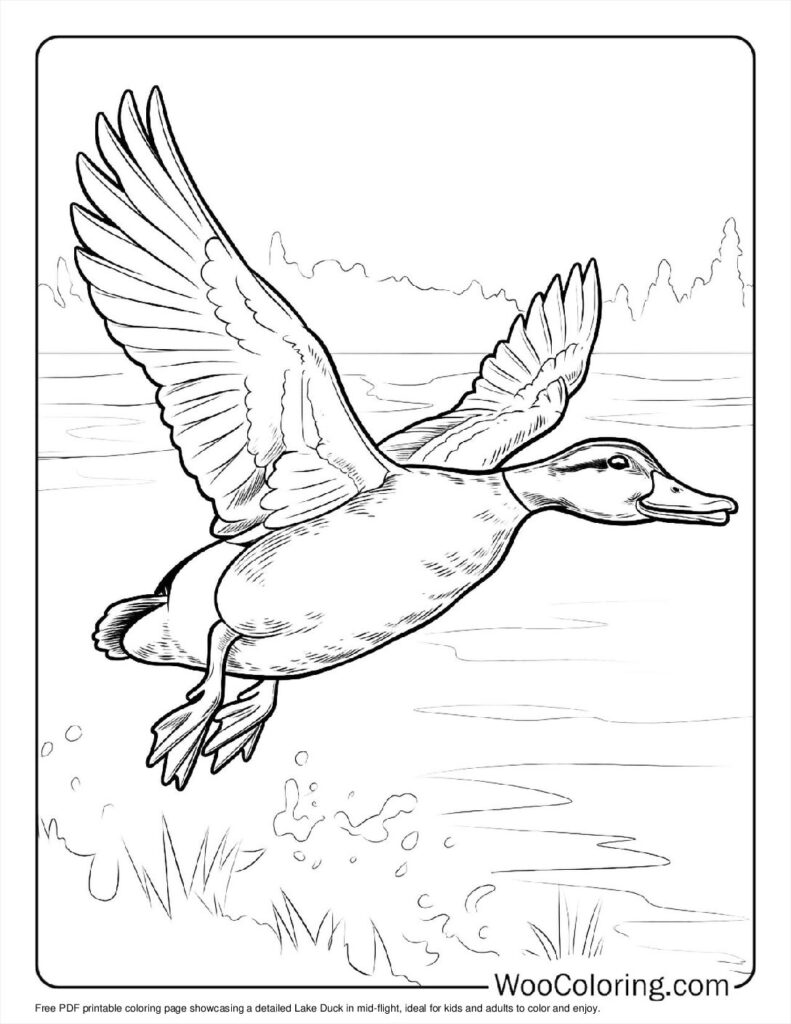 100  Duck coloring pages  Free PDF To Print  - 59