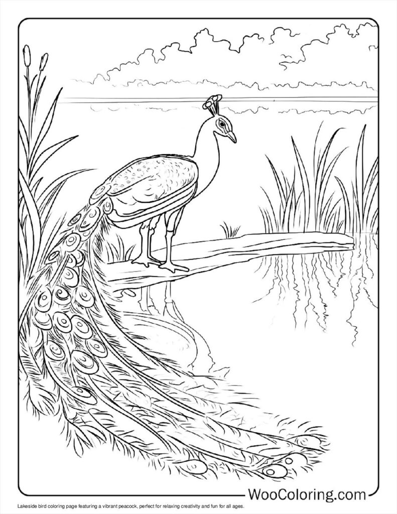 100  Peacock coloring pages  Free PDF To Print  - 33