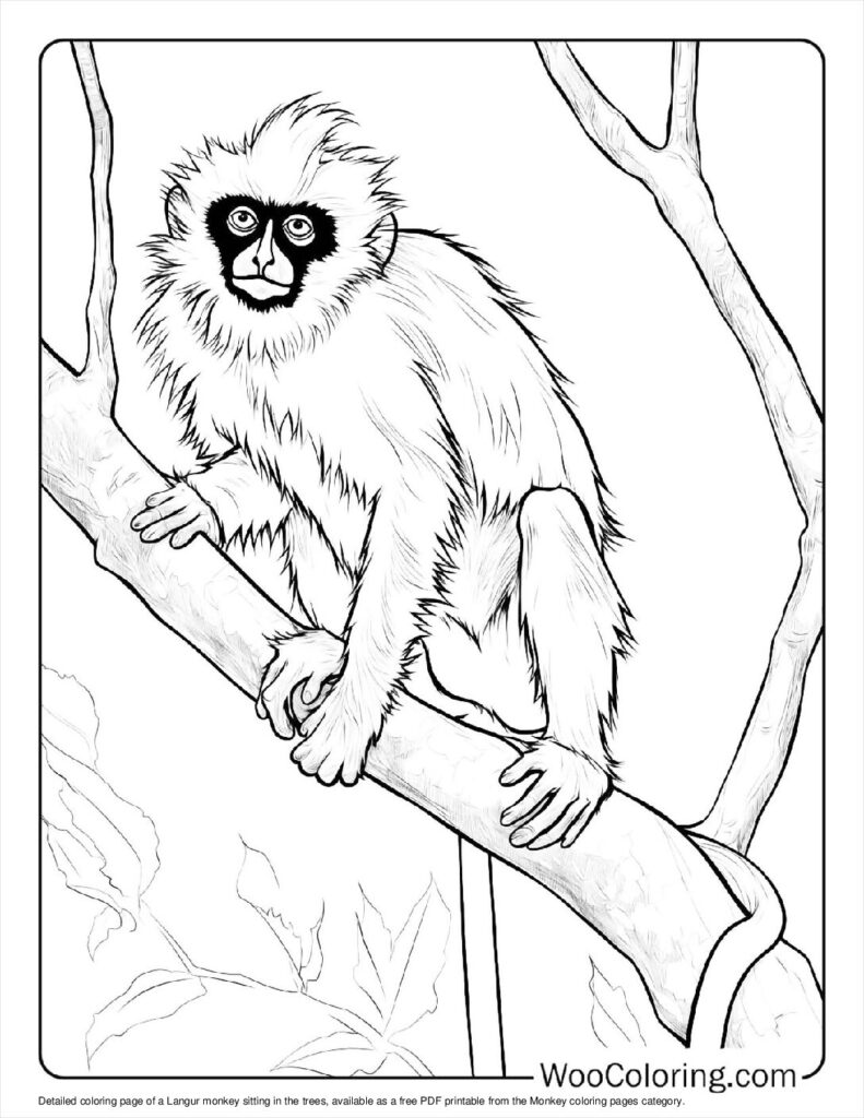 100  Monkey coloring pages  Free PDF To Print  - 90