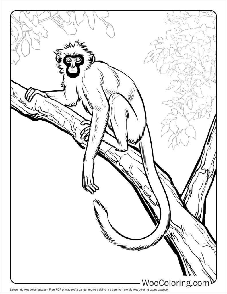 100  Monkey coloring pages  Free PDF To Print  - 71