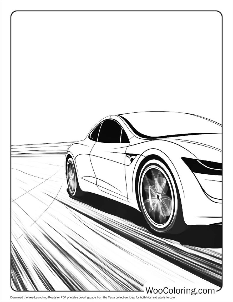Launching Roadster