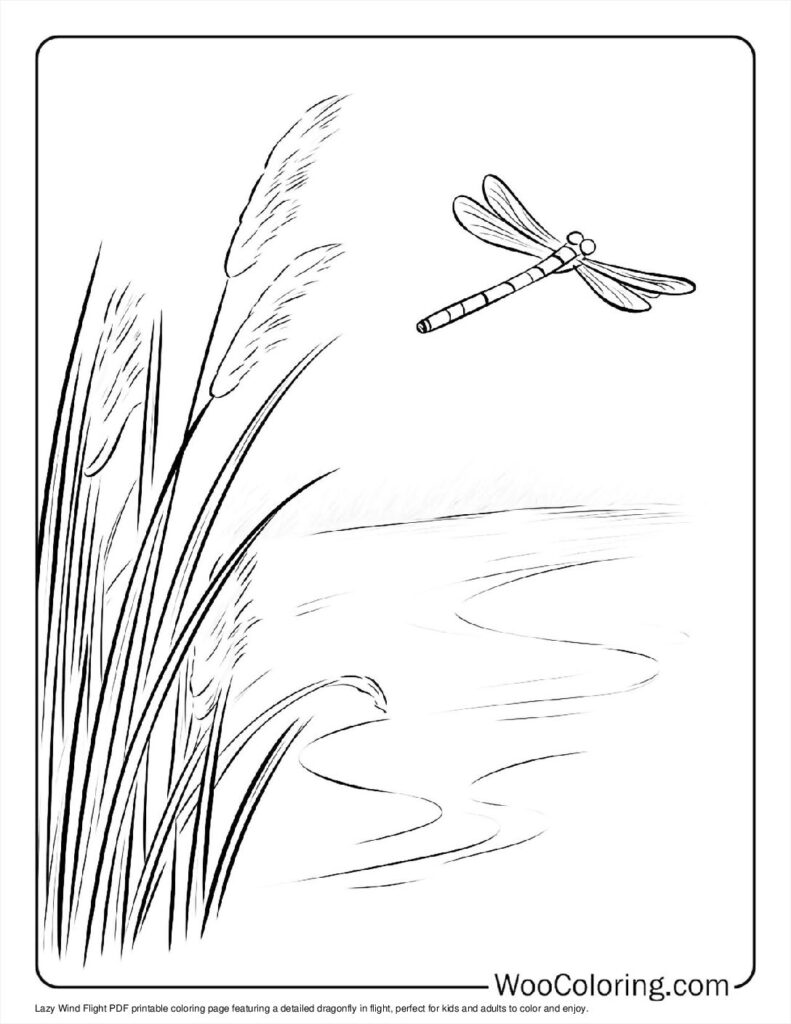 100  Dragonfly coloring pages  Free PDF To Print  - 11