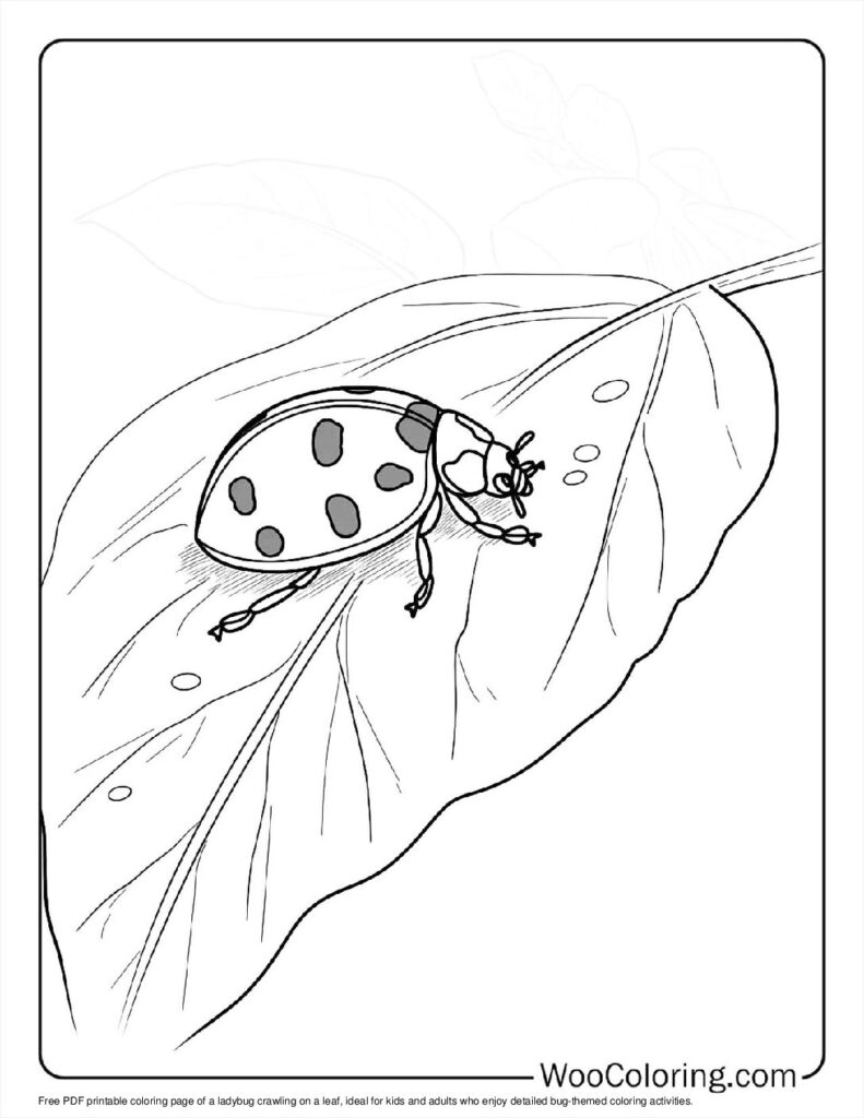 100  Ladybug coloring pages  Free PDF To Print  - 25