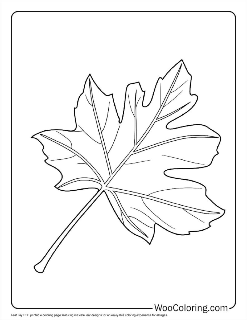 100  Leaf coloring pages  Free PDF To Print  - 3
