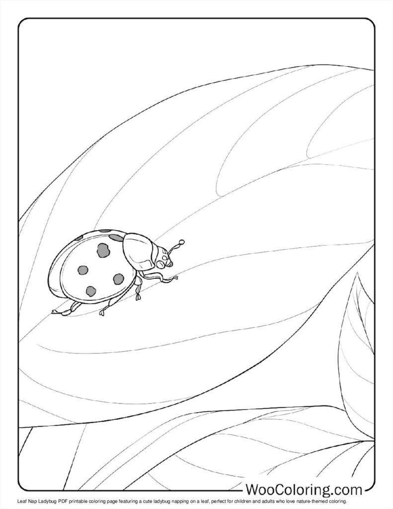 100  Ladybug coloring pages  Free PDF To Print  - 62