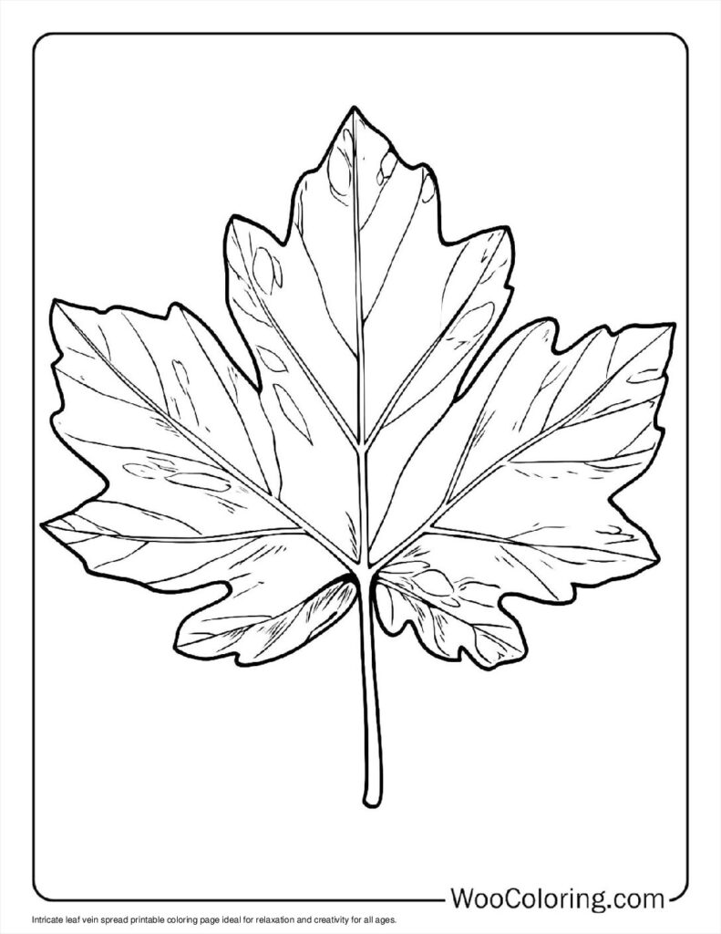 100  Leaf coloring pages  Free PDF To Print  - 43