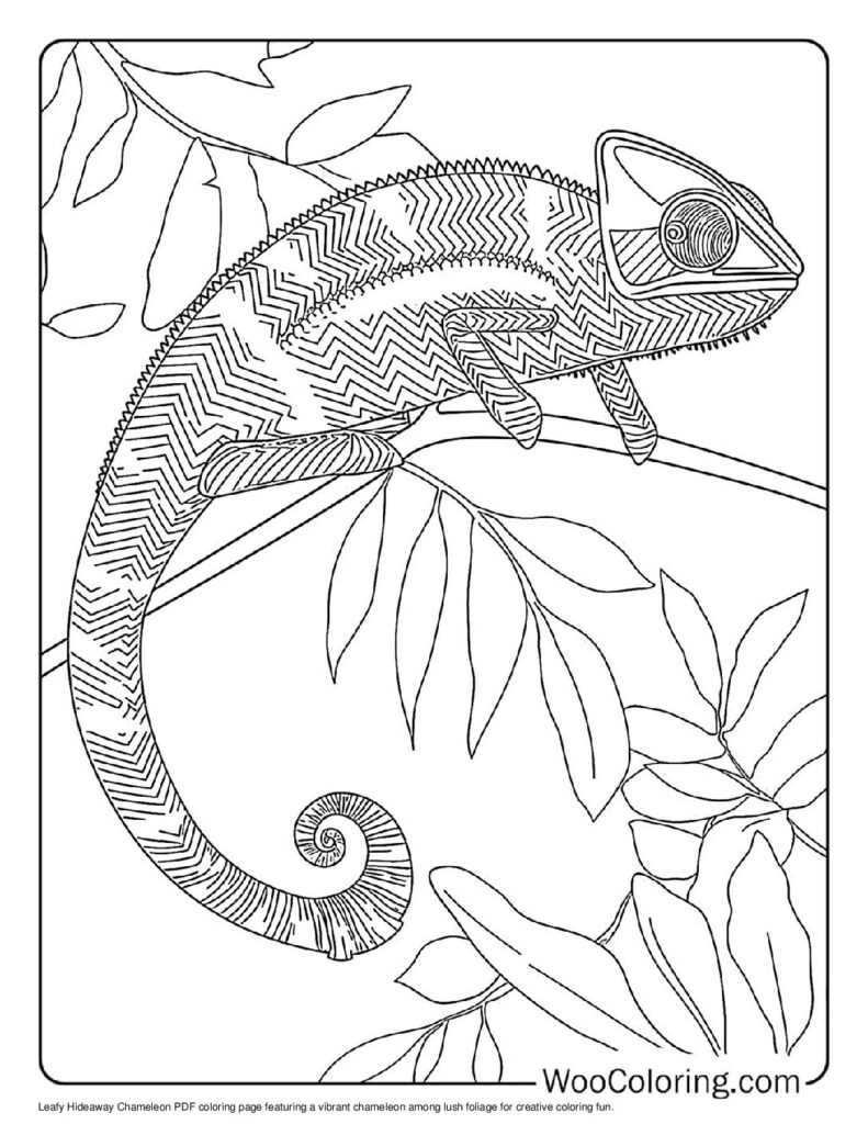 100  Chameleon coloring pages  Free PDF To Print  - 26