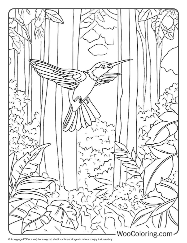 100 Hummingbird coloring pages Free PDF To Print - 67