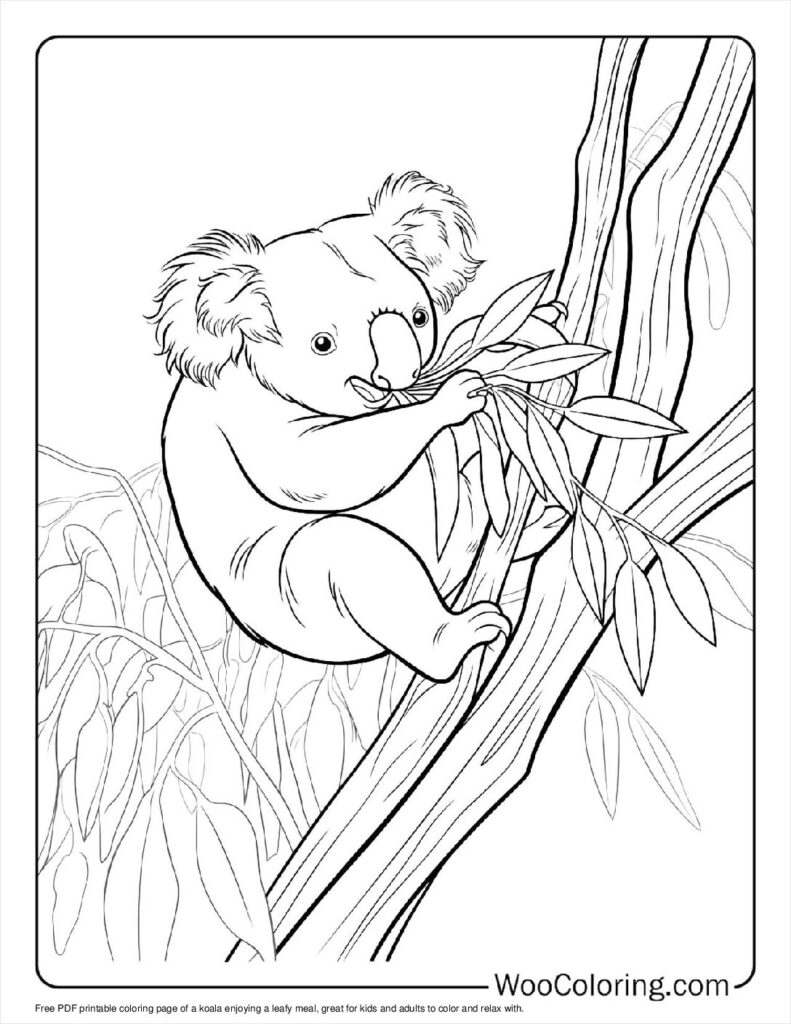 100  Koala coloring pages  Free PDF To Print  - 53
