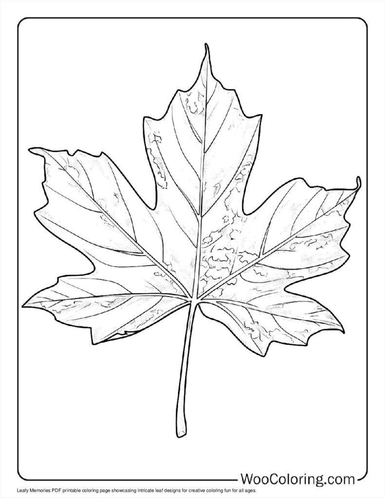 100  Leaf coloring pages  Free PDF To Print  - 75