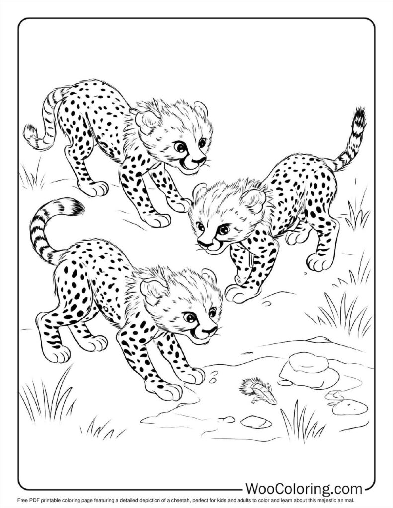 100  Cheetah coloring pages  Free PDF To Print  - 80