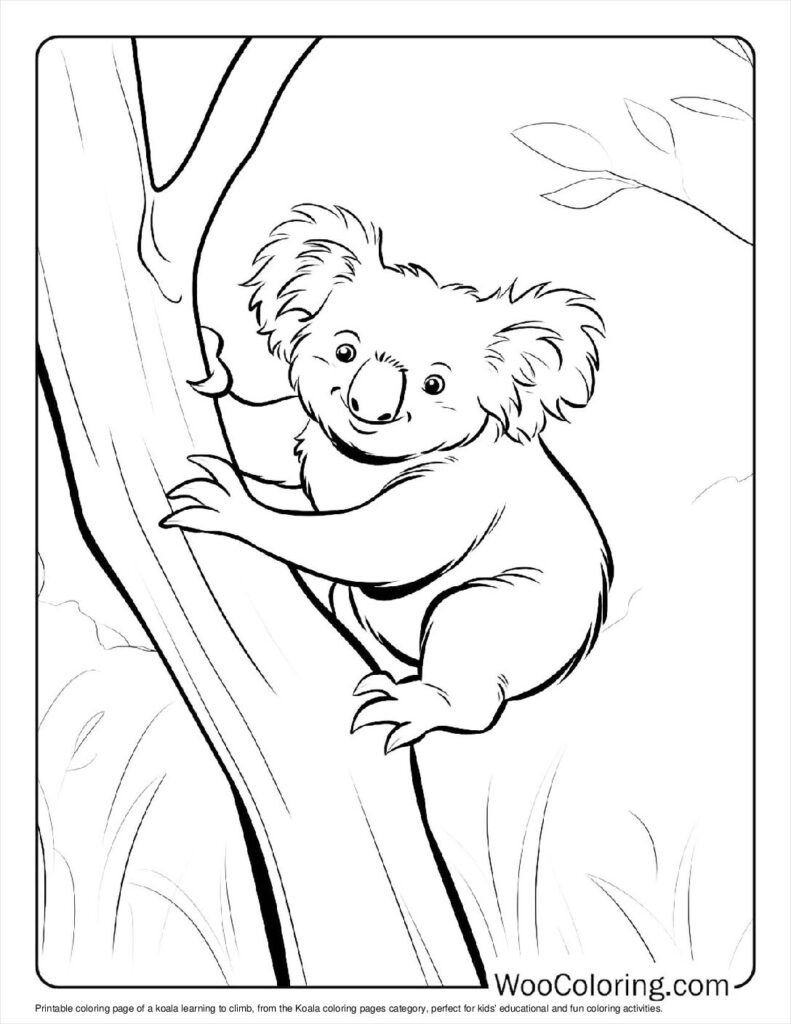 100  Koala coloring pages  Free PDF To Print  - 79