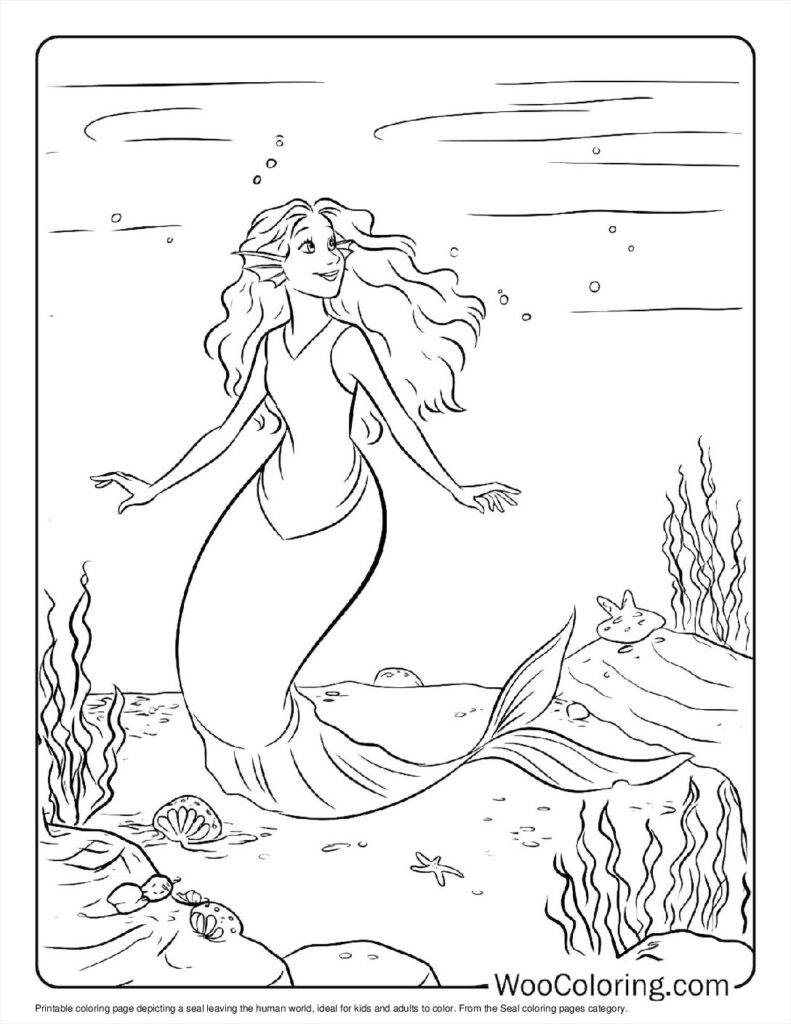100  Seal coloring pages  Free PDF To Print  - 49