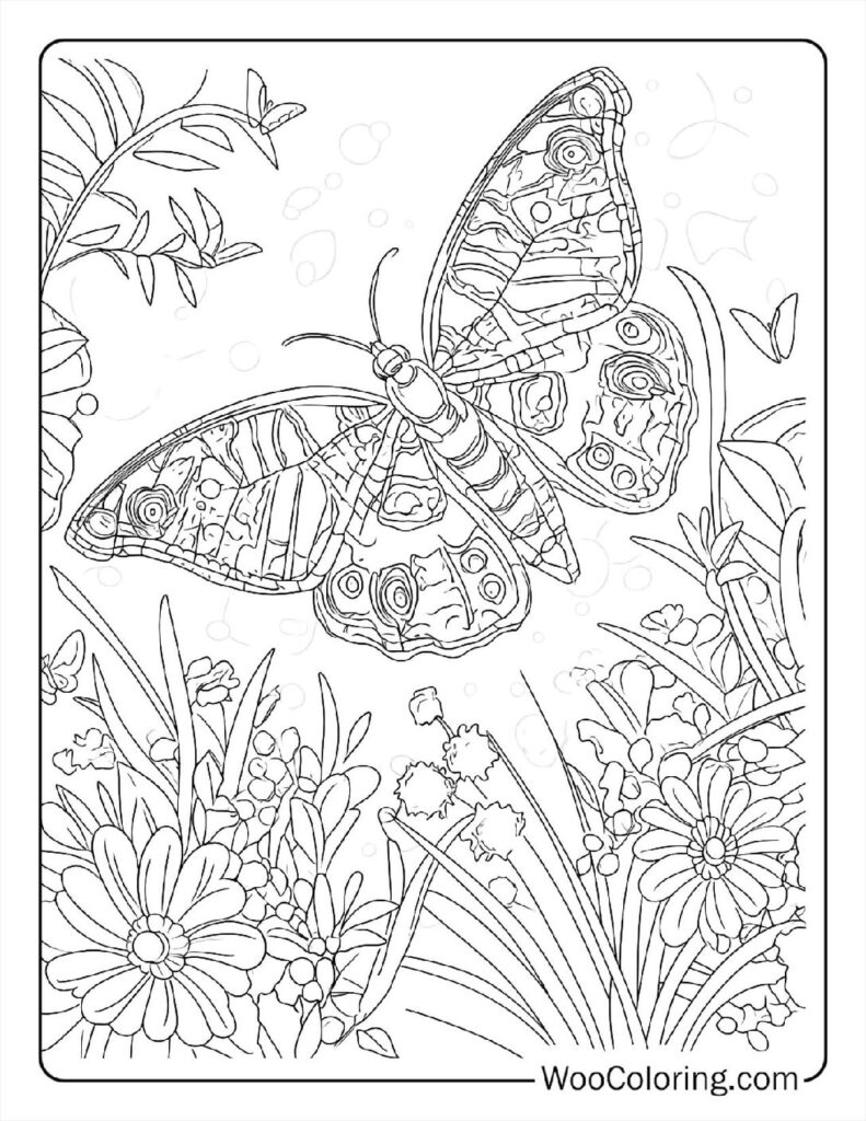 100  Butterfly coloring pages  Free PDF To Print  - 94